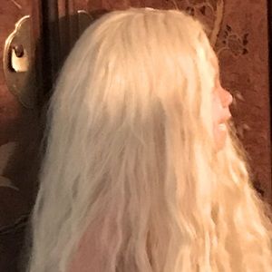 Silver Grey Costume Wig